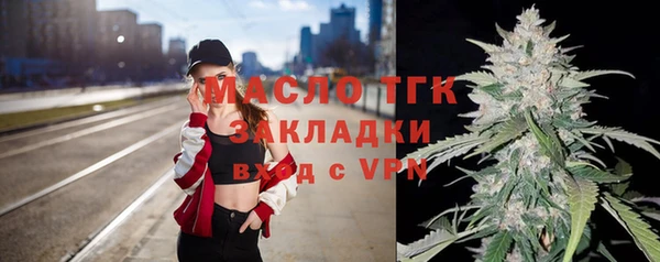 ешки Вяземский