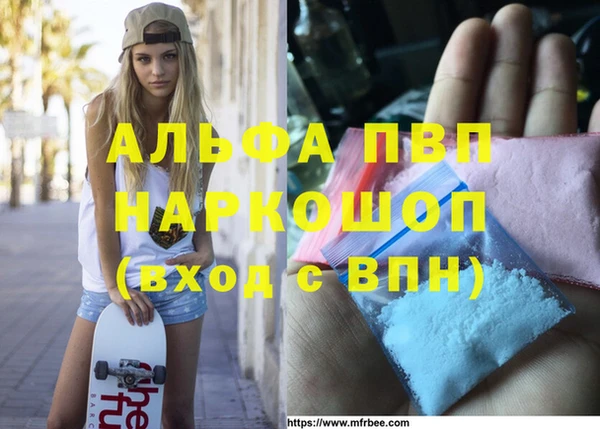 ешки Вяземский