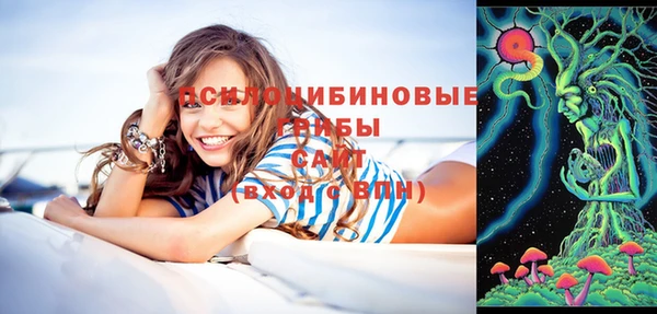 ешки Вяземский