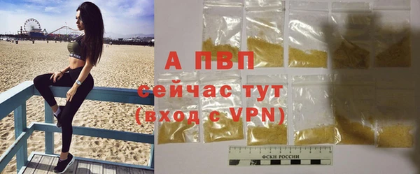 ешки Вяземский