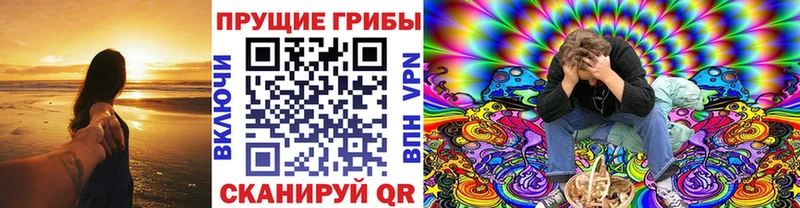 Галлюциногенные грибы Cubensis Купить Белогорск